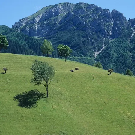 Hotel Belvedere 2*